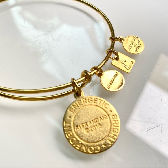 Alex and Ani Gold Charm Bracelet with Citrus Design - Picture 3 of 5